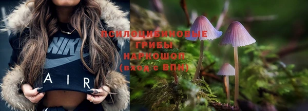 мдма Киреевск