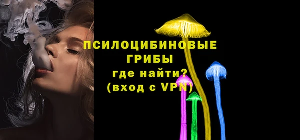 мдма Киреевск