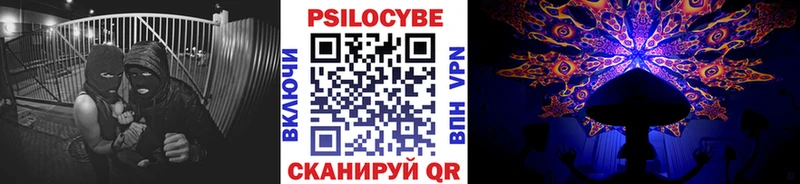 Галлюциногенные грибы Cubensis  Артём 